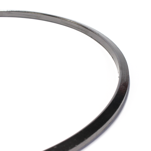 1927181 Trapezoid Graphite Gasket DAF